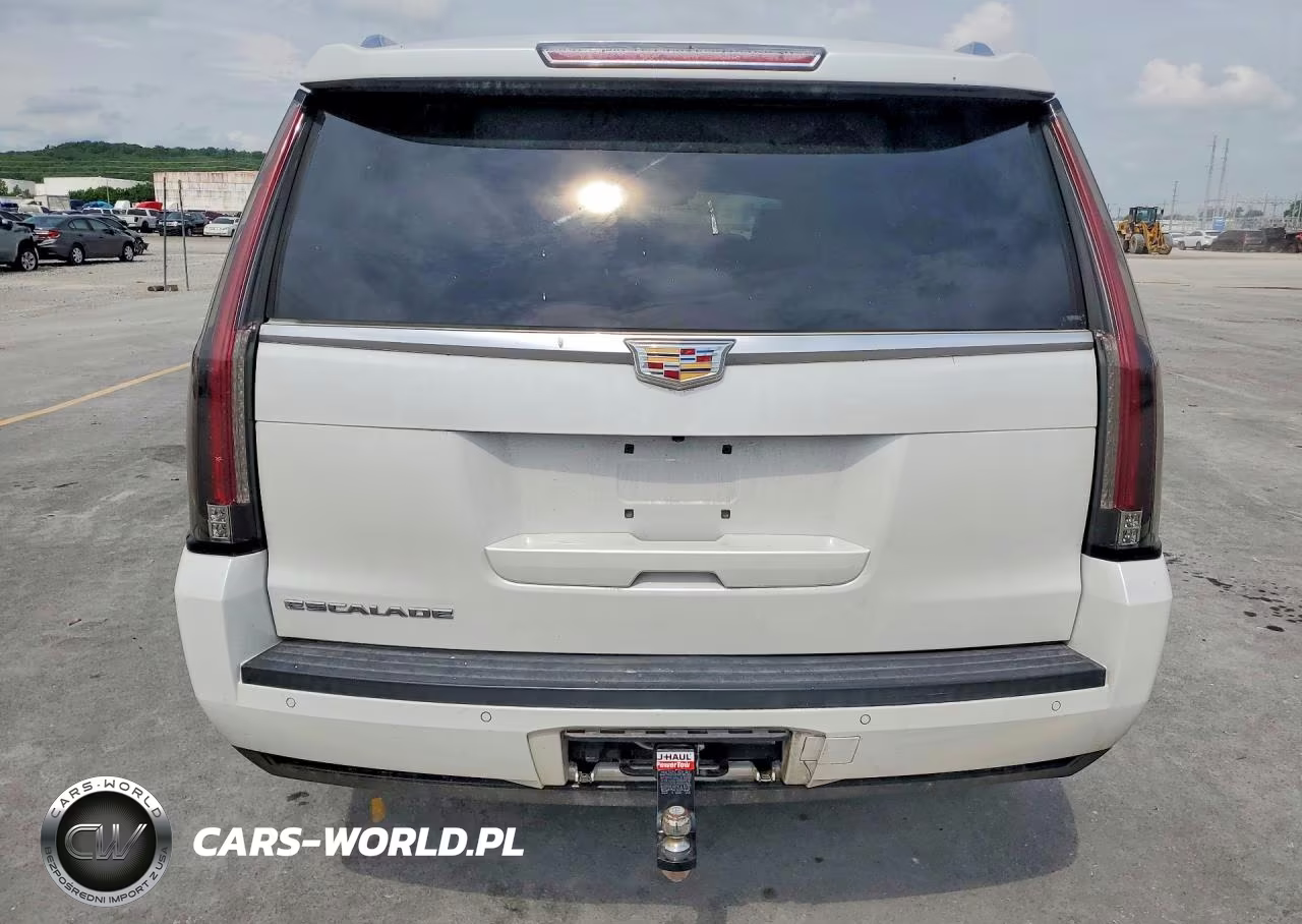 2016 Cadillac Escalade Luxury VIN:1GYS4BKJ6GR384199 - 6