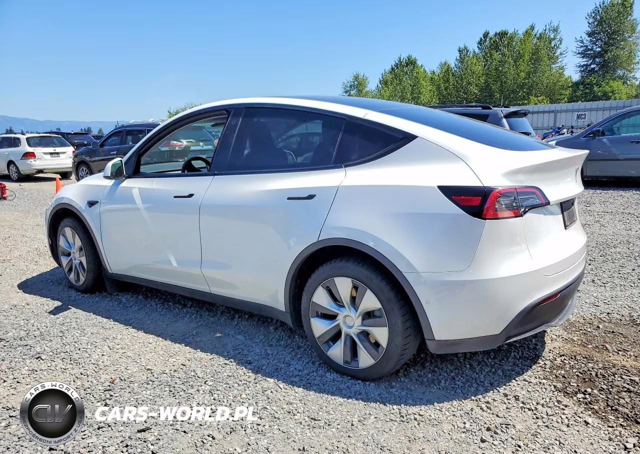 2021 Tesla Model Y VIN:5YJYGDEE1MF198198 - 2