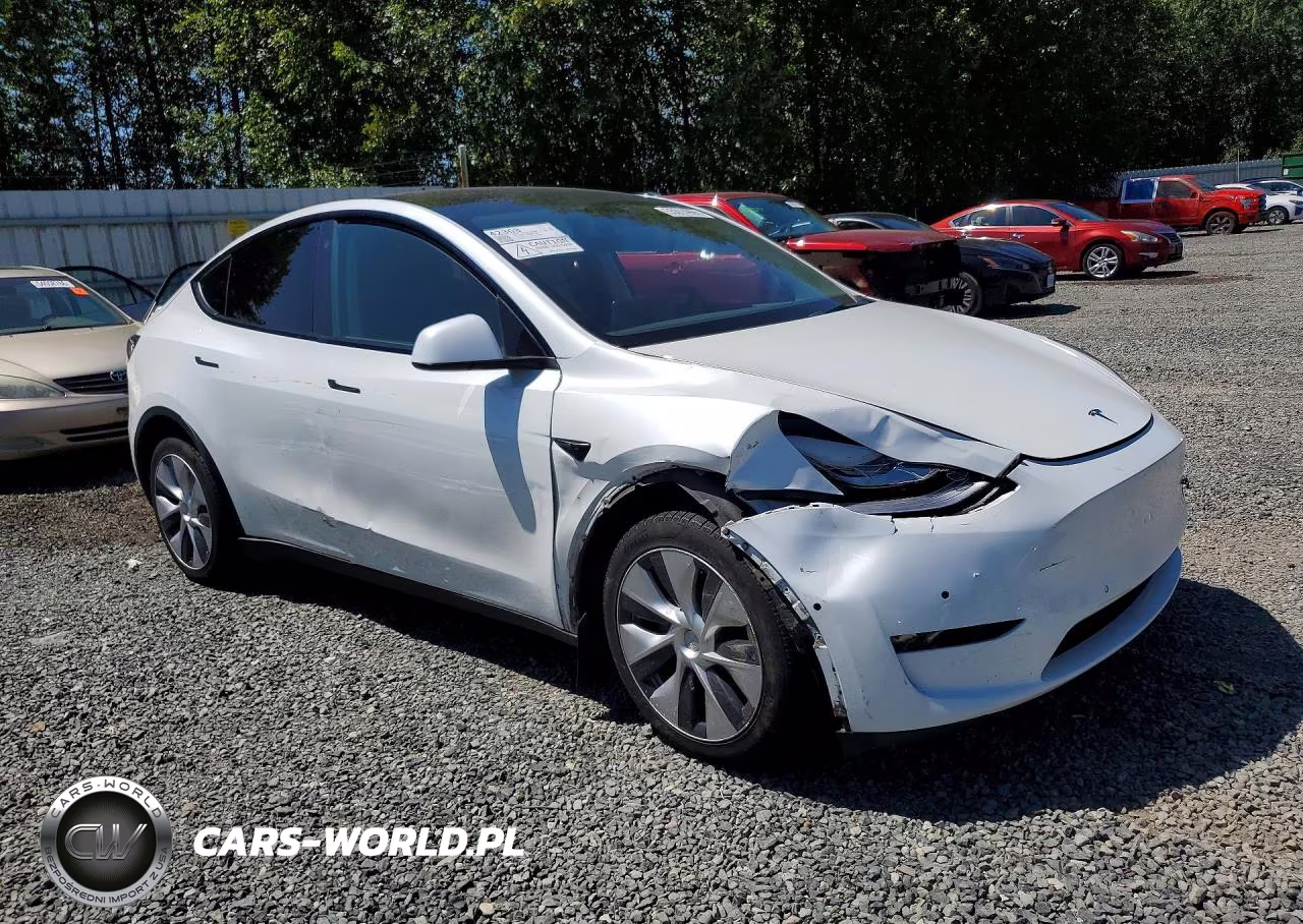 2021 Tesla Model Y VIN:5YJYGDEE1MF198198 - 4