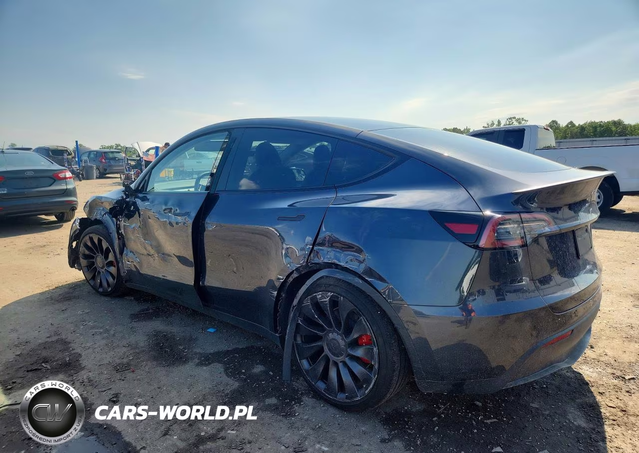 2025 Tesla Model Y VIN:7SAYGDEF7SA350930 - 2