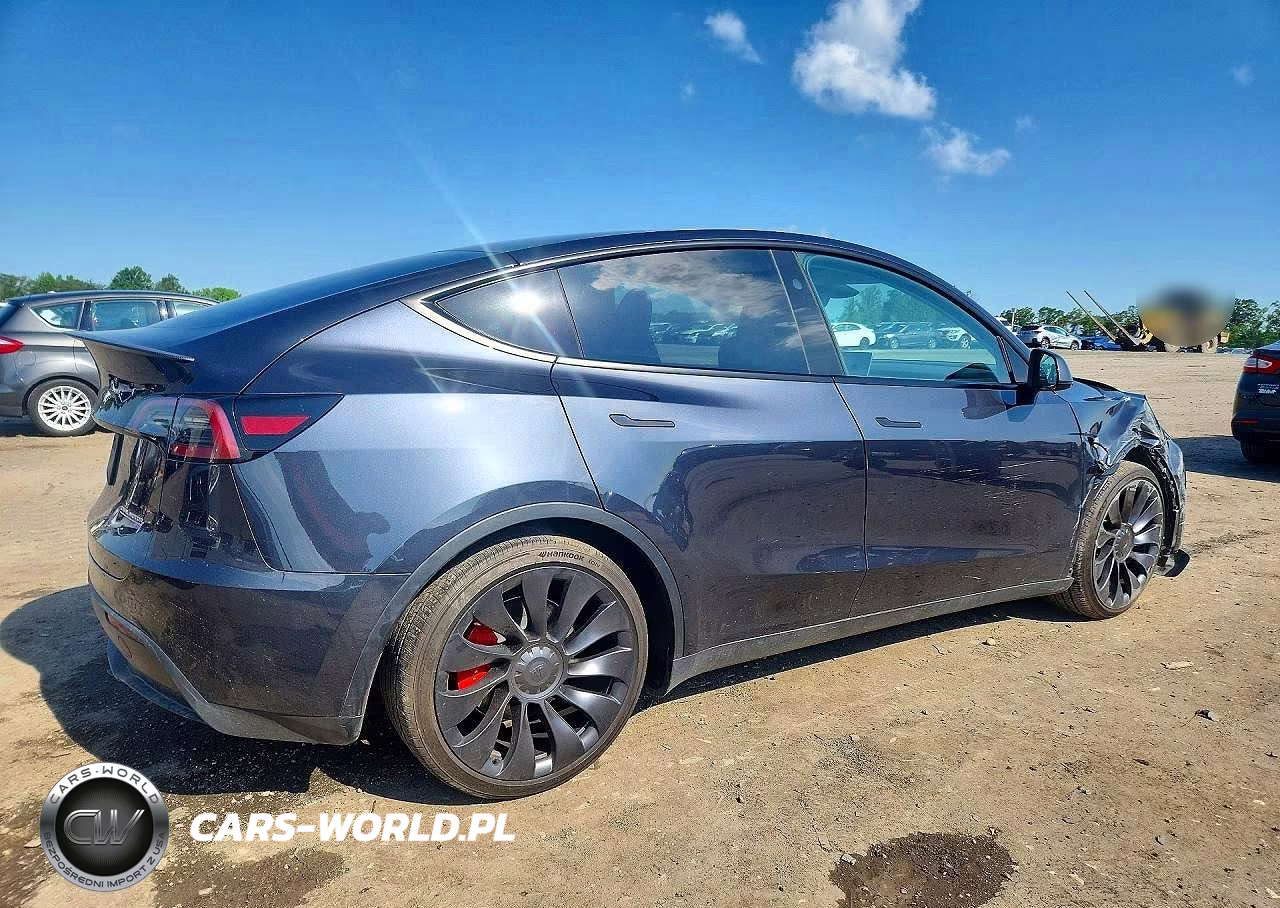 2025 Tesla Model Y VIN:7SAYGDEF7SA350930 - 3
