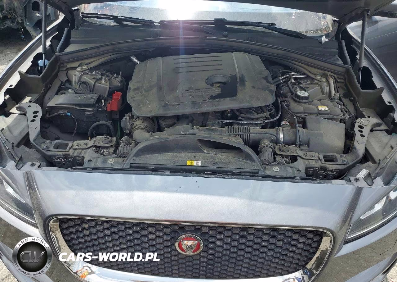 2019 Jaguar F-Pace Prestige VIN:SADCK2FN7KA394832 - 12