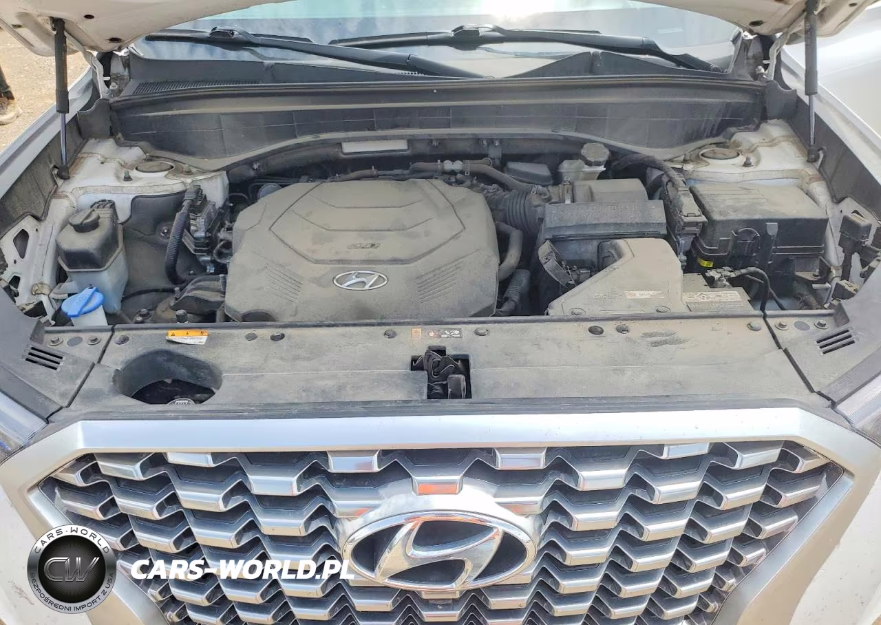2021 Hyundai Palisade Limited VIN:KM8R5DHE7MU187585 - 12
