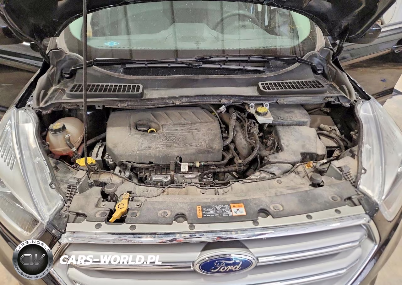 2017 Ford Escape Se VIN:1FMCU0GD3HUE03075 - 12
