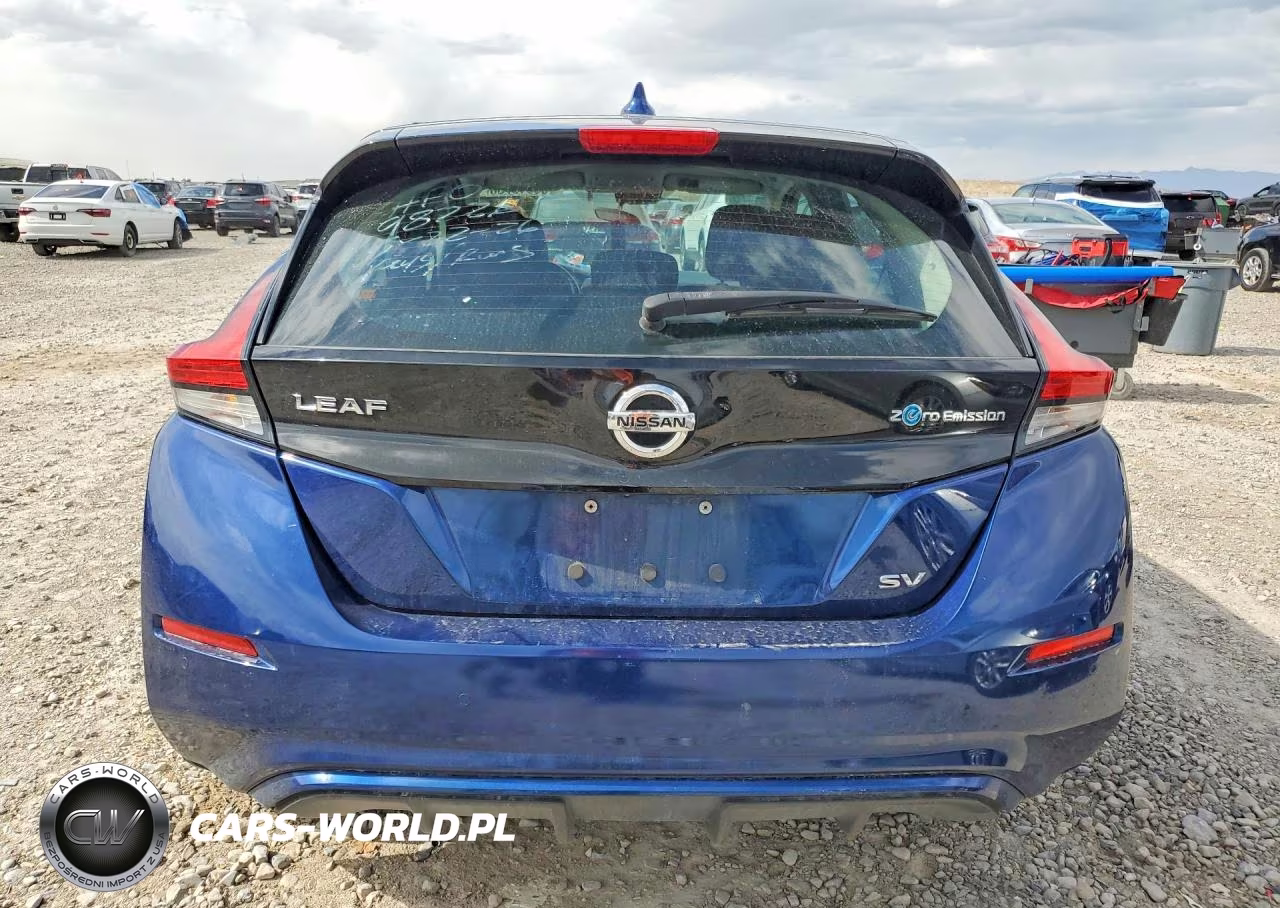 2020 Nissan Leaf Sv VIN:1N4AZ1CP2LC304545 - 6