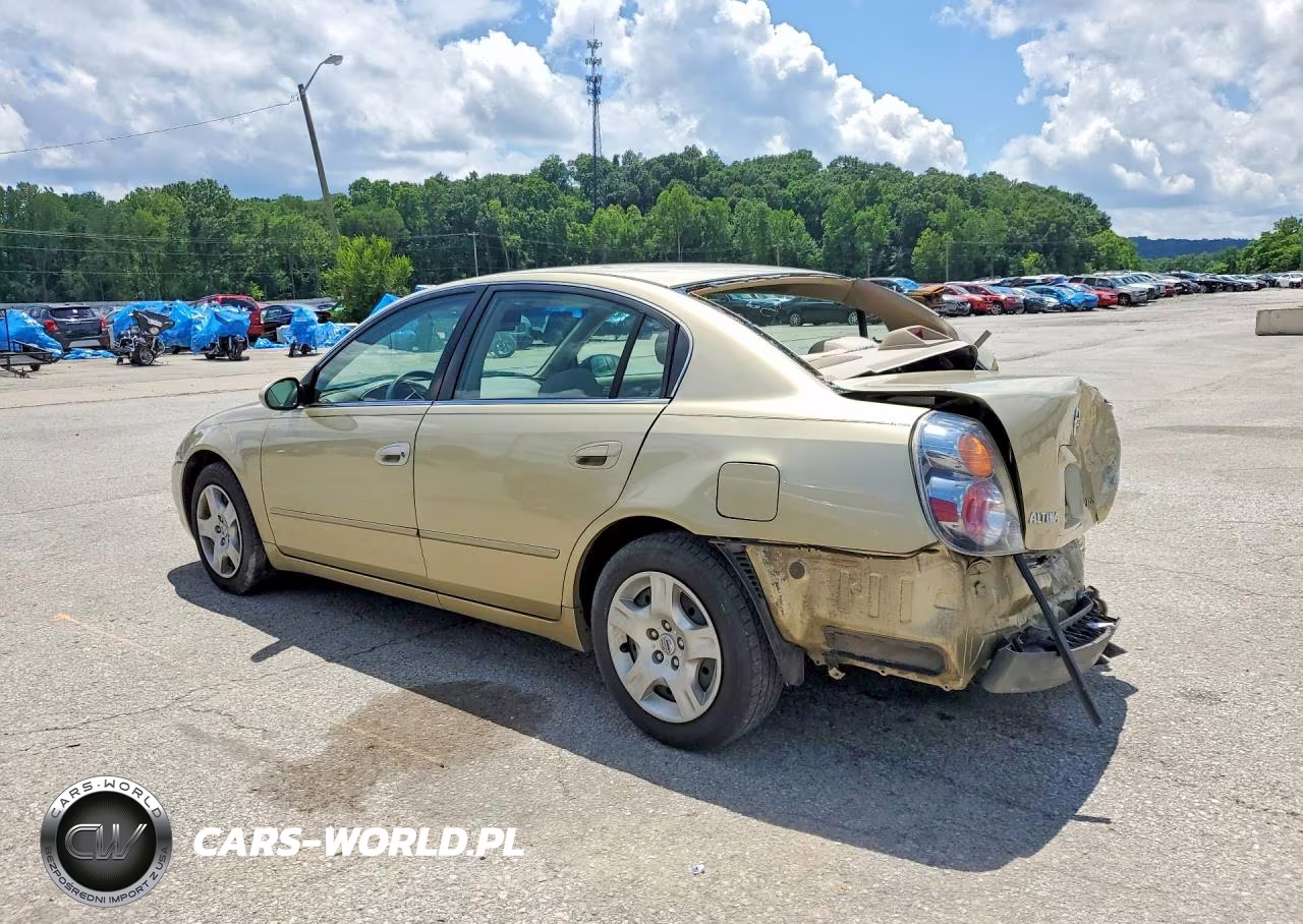 2002 Nissan Altima VIN:1N4AL11D92C260181 - 2