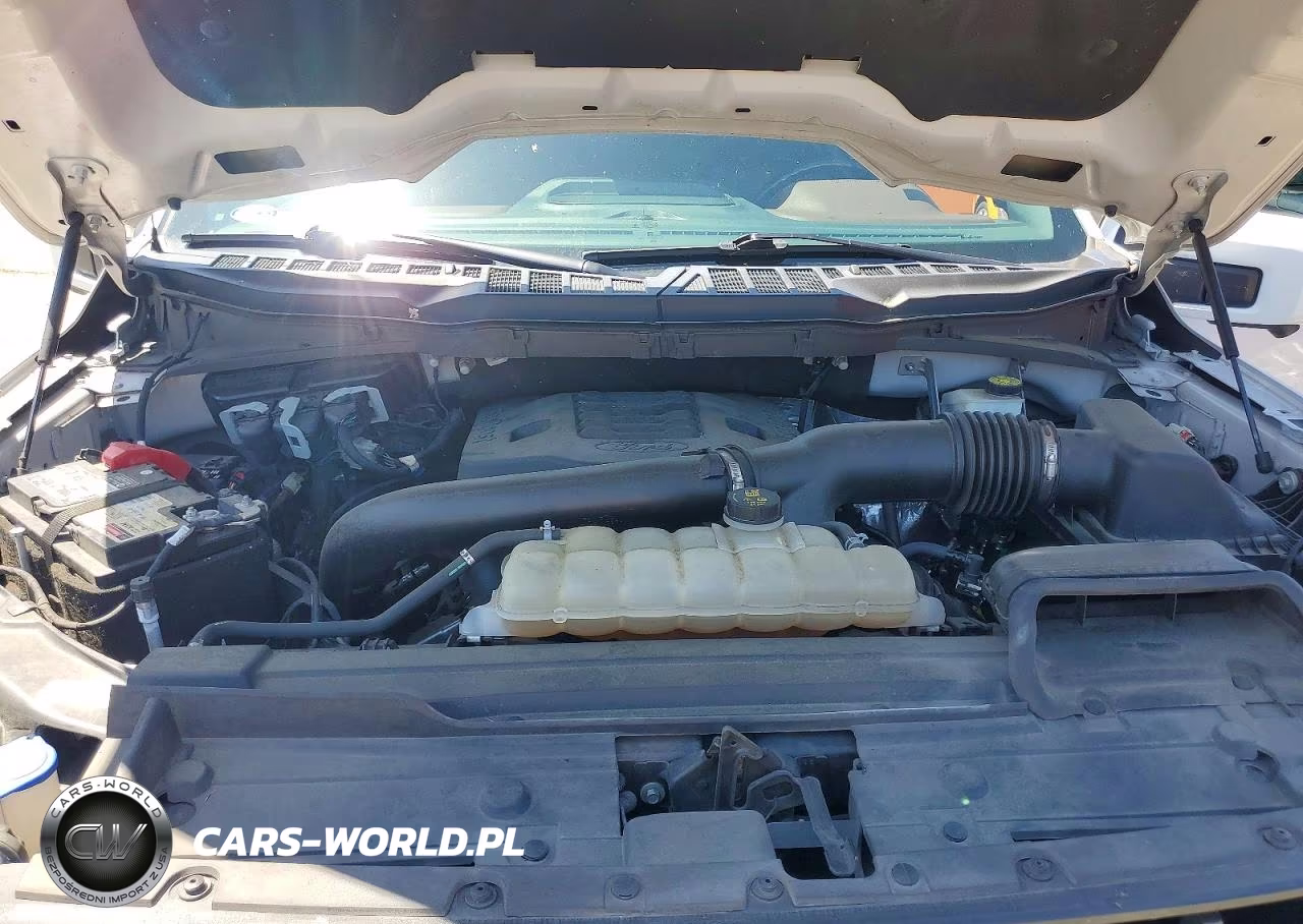 2021 Ford F150 Supercrew VIN:1FTFW1E88MKD22389 - 11