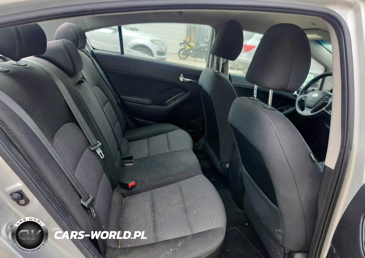 2014 Kia Forte Lx VIN:KNAFX4A62E5145659 - 10