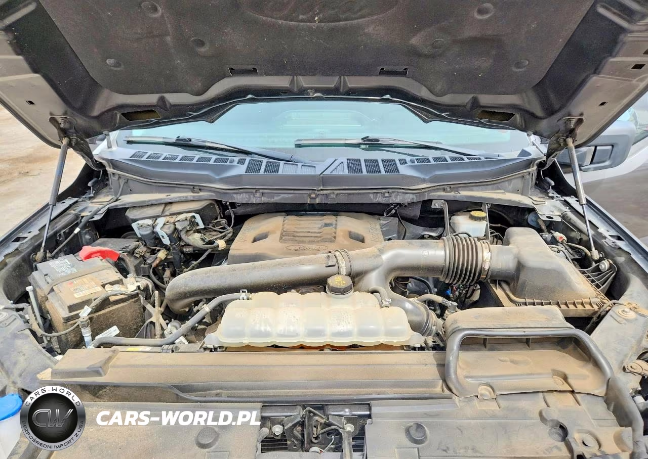 2023 Ford F150 Supercrew VIN:1FTEW1C82PKD34279 - 11