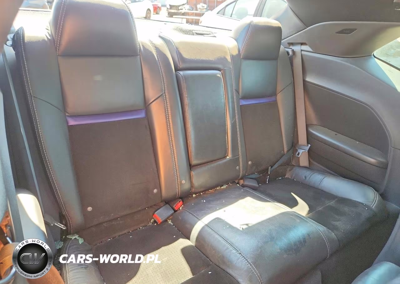2010 Dodge Challenger Srt-8 VIN:2B3CJ7DW8AH173149 - 10