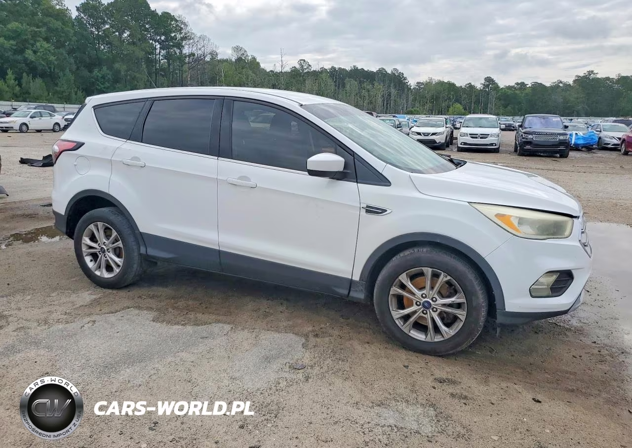 2017 Ford Escape Se VIN:1FMCU0G98HUD67167 - 4