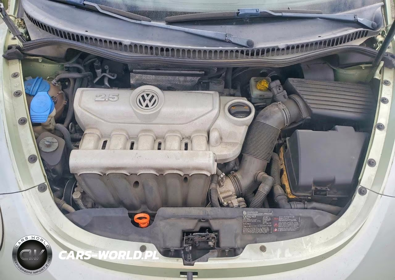 2008 Volkswagen New Beetle S VIN:3VWPG31C18M519522 - 11