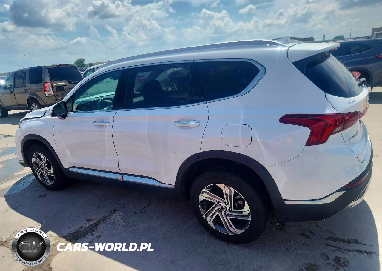 2023 Hyundai Santa Fe Sel Premium VIN:5NMS3DAJXPH531862 - 2