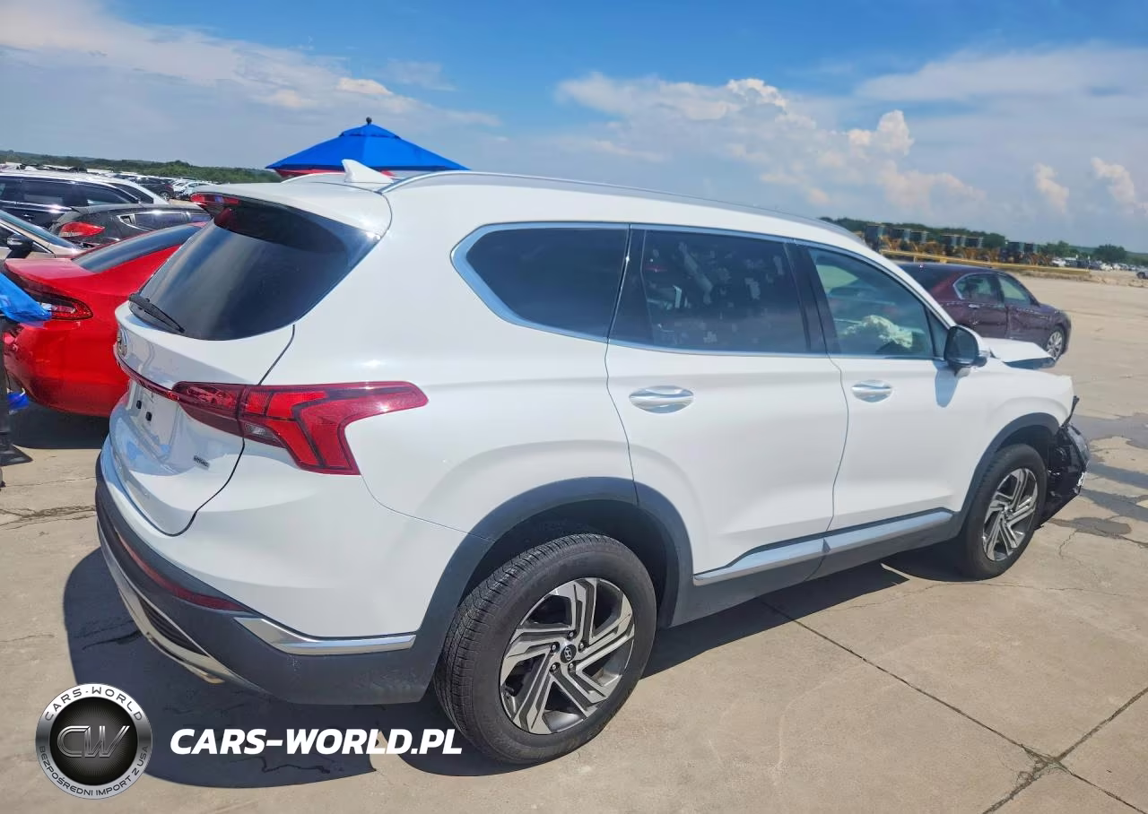 2023 Hyundai Santa Fe Sel Premium VIN:5NMS3DAJXPH531862 - 3