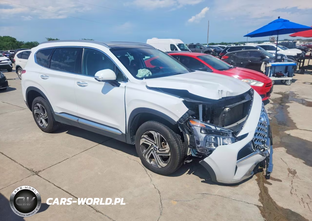2023 Hyundai Santa Fe Sel Premium VIN:5NMS3DAJXPH531862 - 4