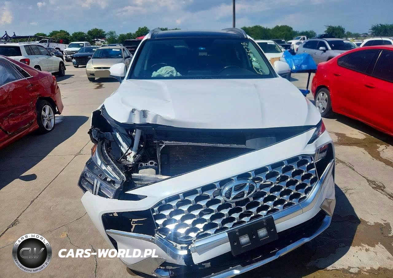2023 Hyundai Santa Fe Sel Premium VIN:5NMS3DAJXPH531862 - 5
