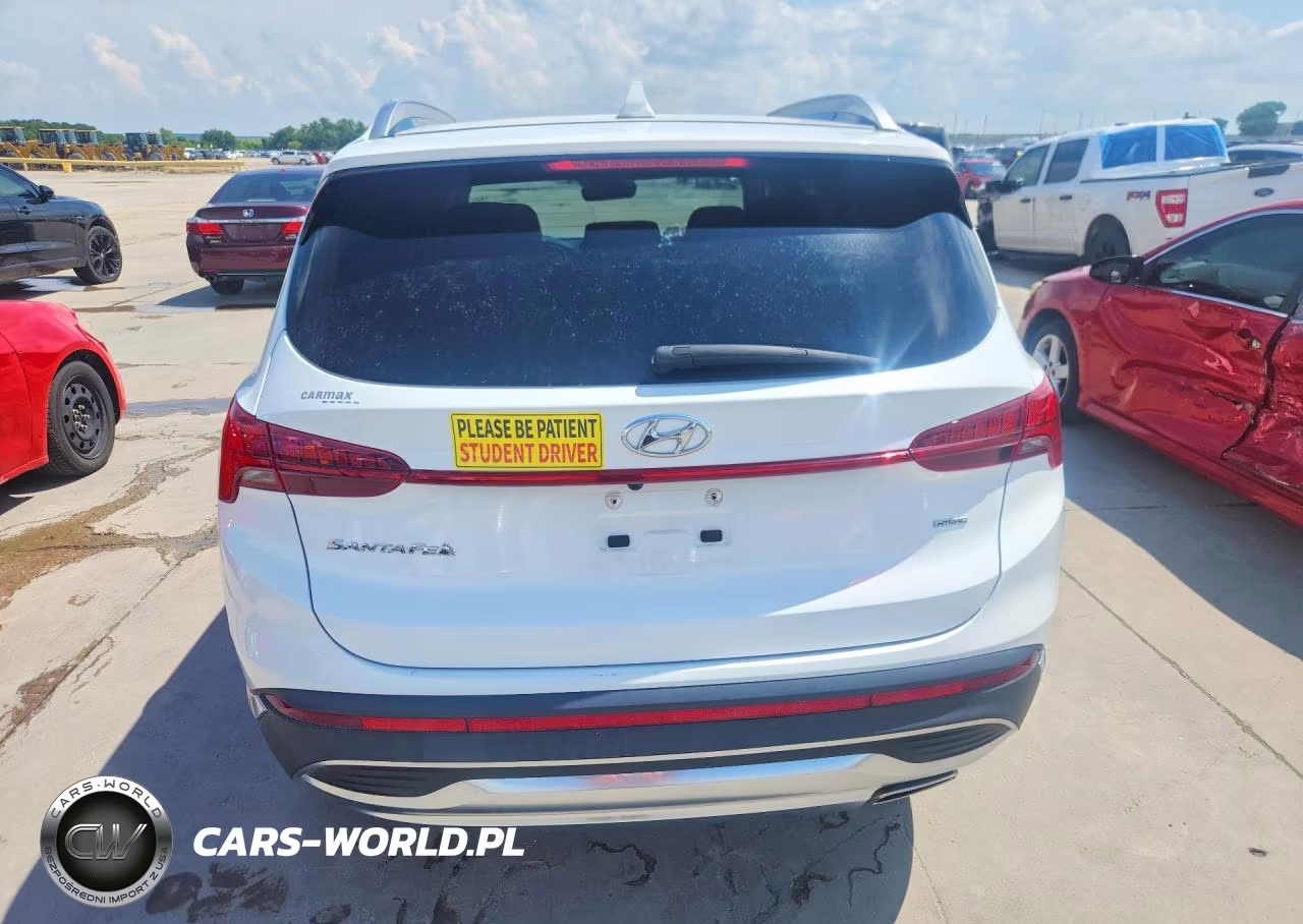 2023 Hyundai Santa Fe Sel Premium VIN:5NMS3DAJXPH531862 - 6