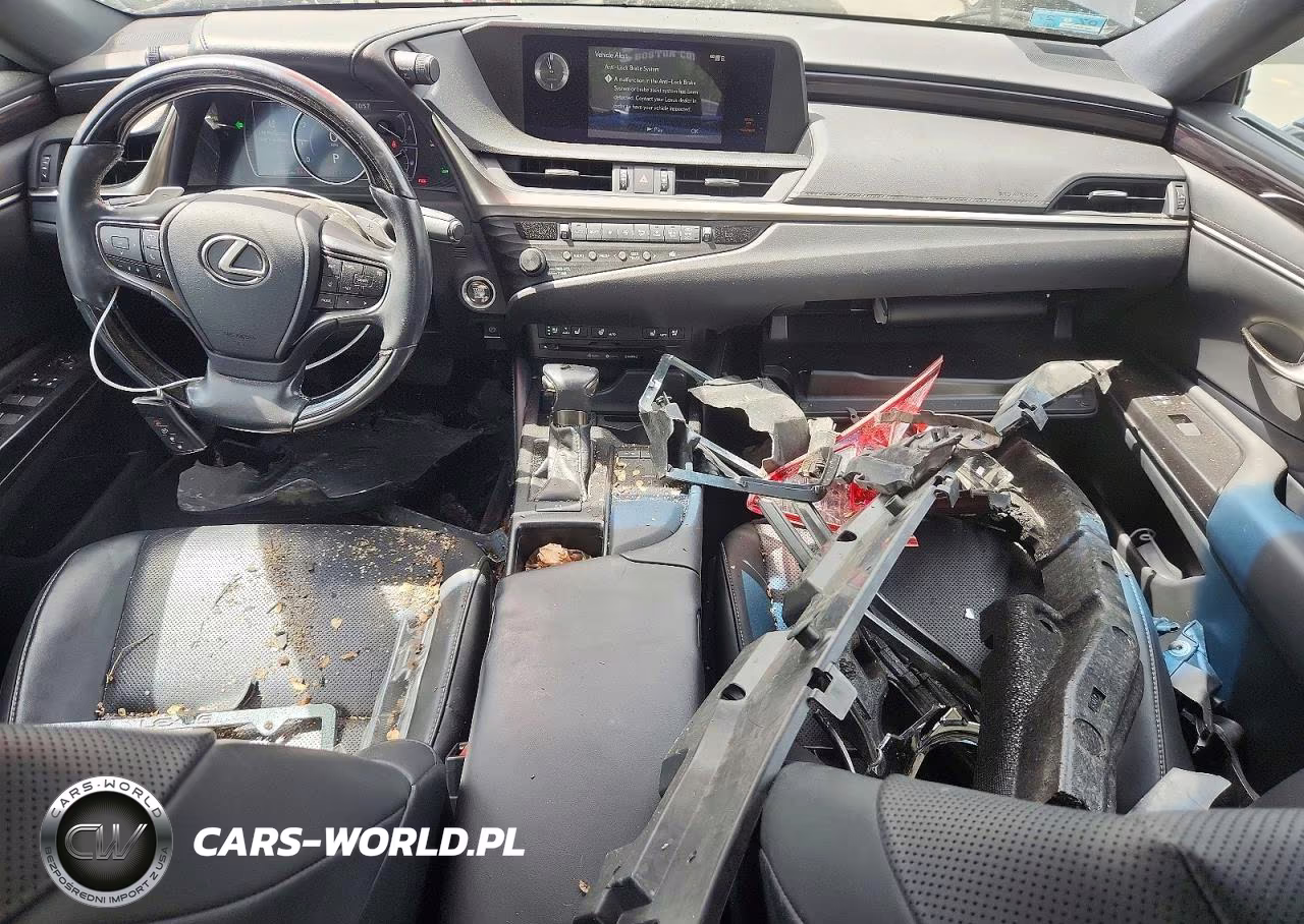 2019 Lexus Es 350 VIN:58ABZ1B11KU048004 - 8