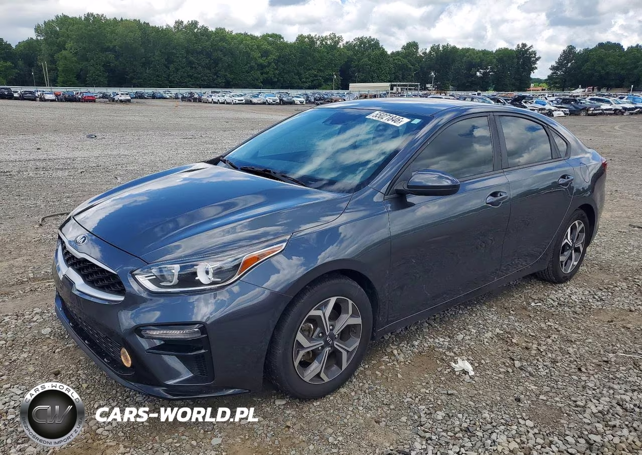 2019 Kia Forte Lxs