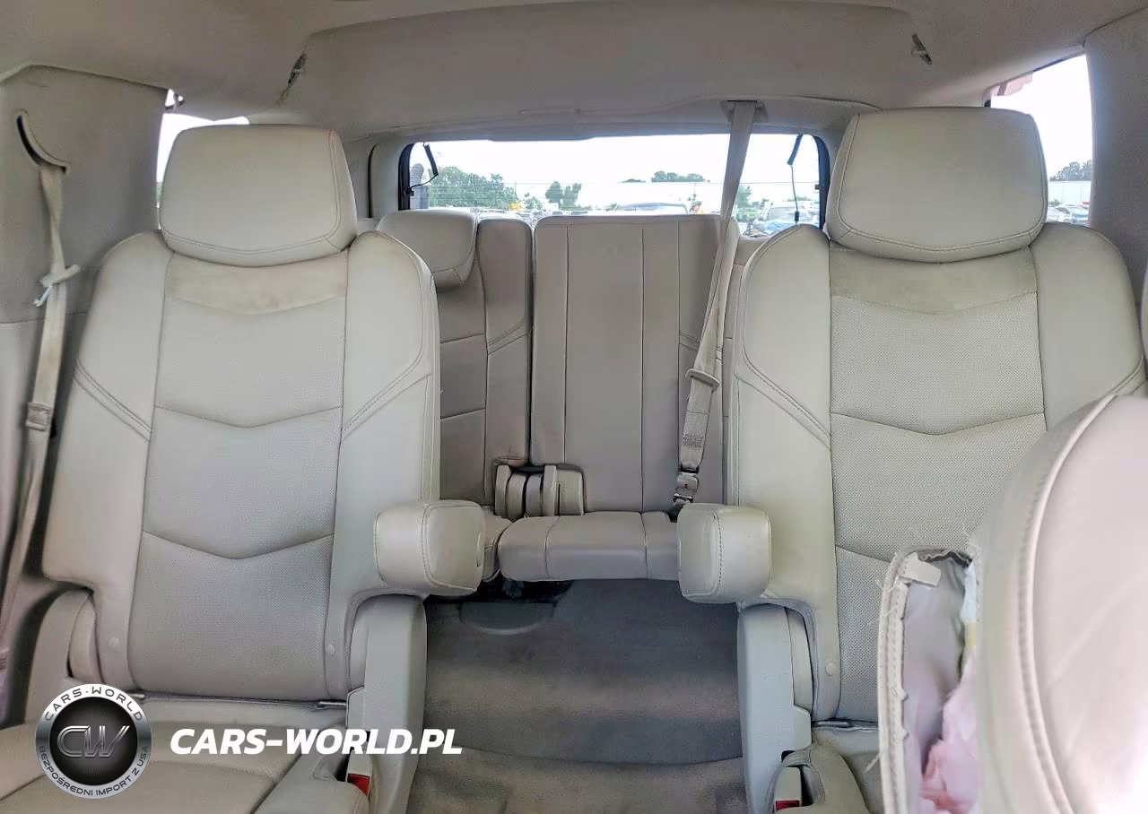 2015 Cadillac Escalade Luxury VIN:1GYS3MKJ2FR566575 - 10