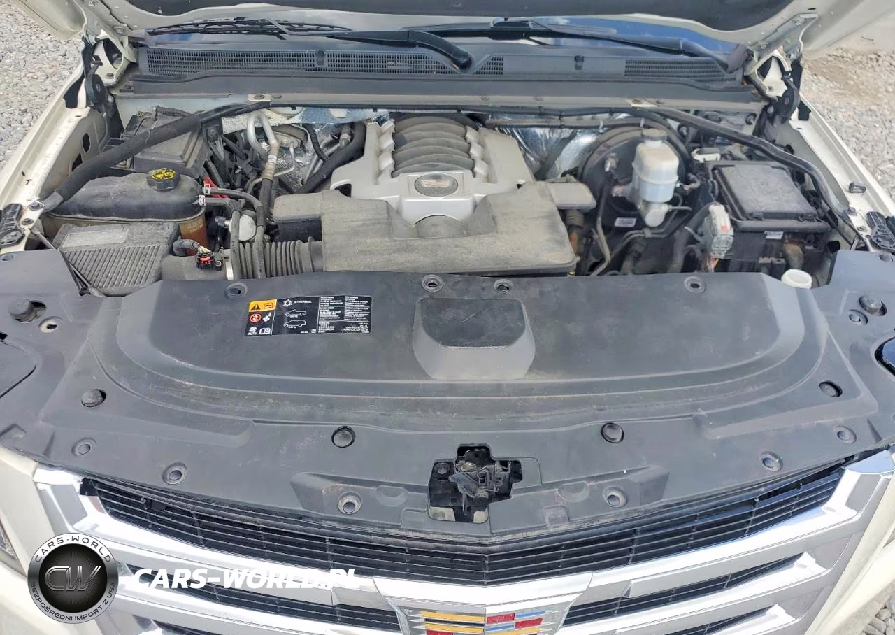 2015 Cadillac Escalade Luxury VIN:1GYS3MKJ2FR566575 - 12