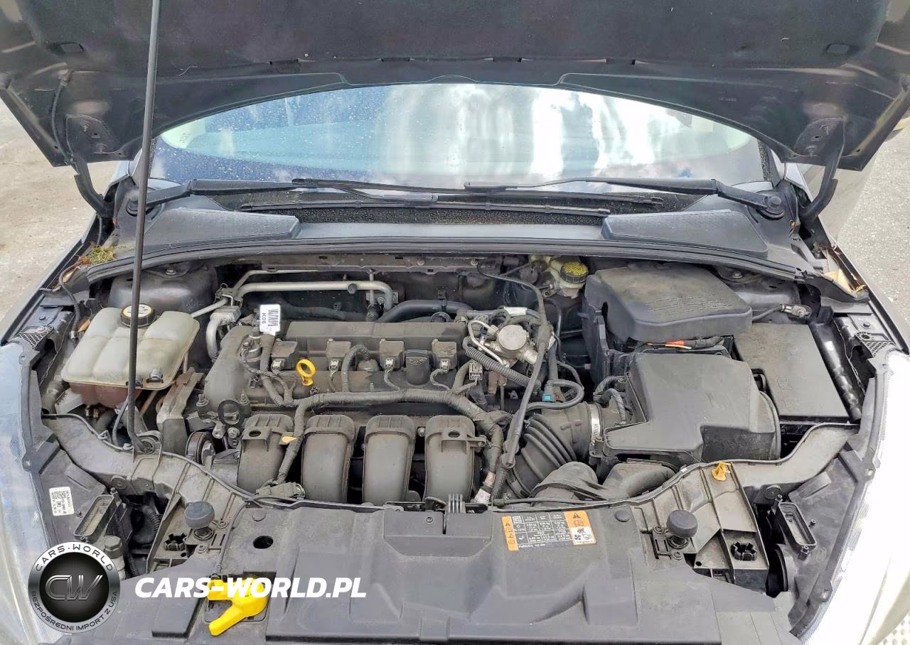 2016 Ford Focus Se VIN:1FADP3K26GL264318 - 11