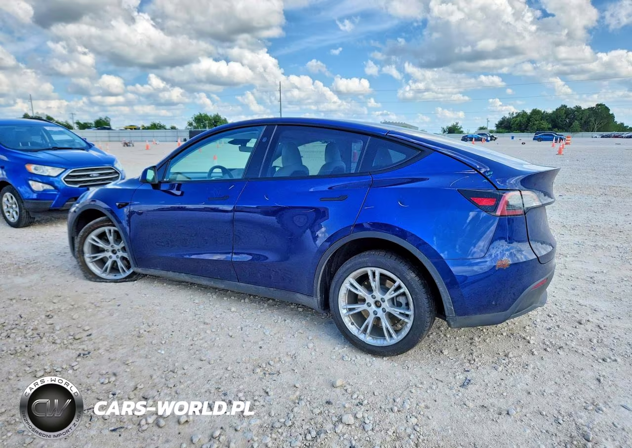 2024 Tesla Model Y VIN:7SAYGAEE0RF019822 - 2