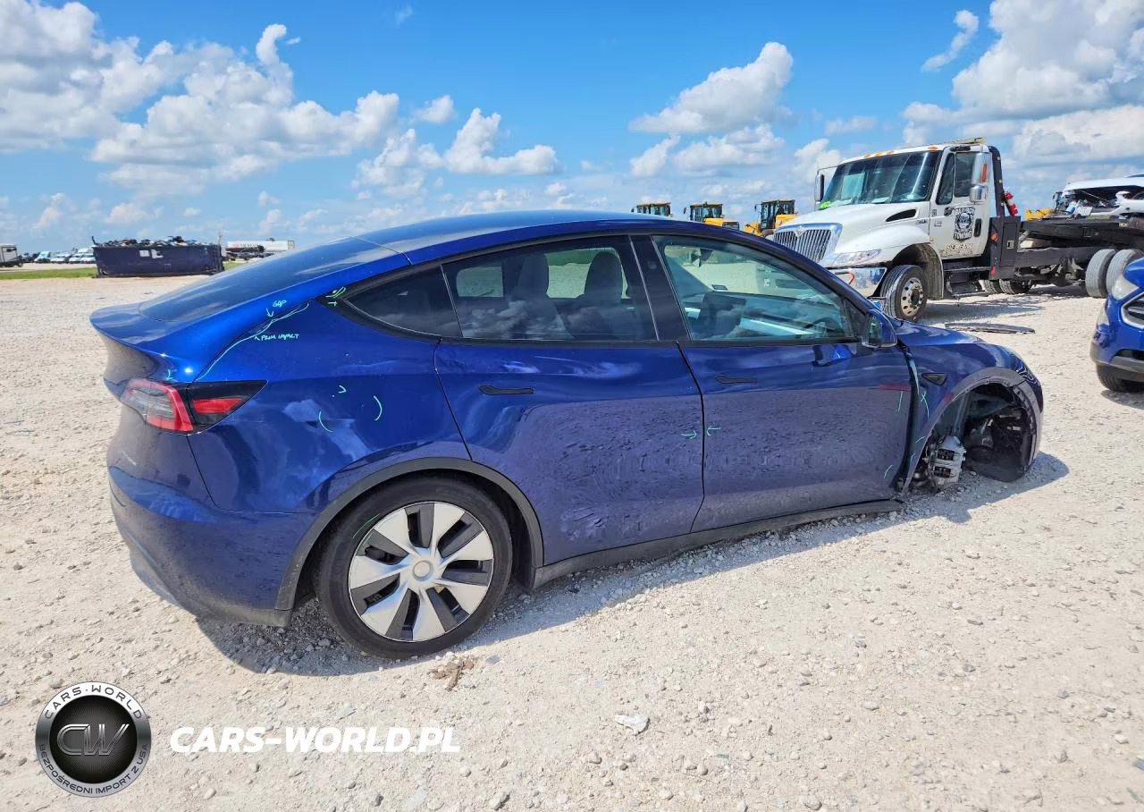 2024 Tesla Model Y VIN:7SAYGAEE0RF019822 - 3