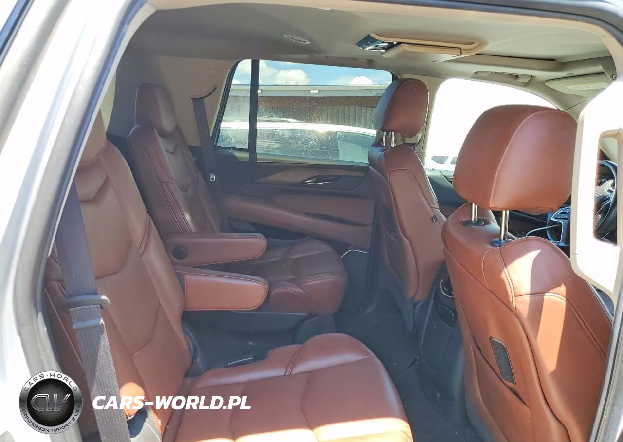 2020 Cadillac Escalade Premium Luxury VIN:1GYS4CKJXLR142001 - 10
