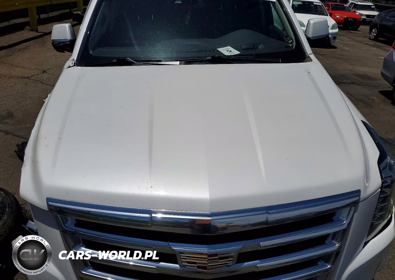 2020 Cadillac Escalade Premium Luxury VIN:1GYS4CKJXLR142001 - 11