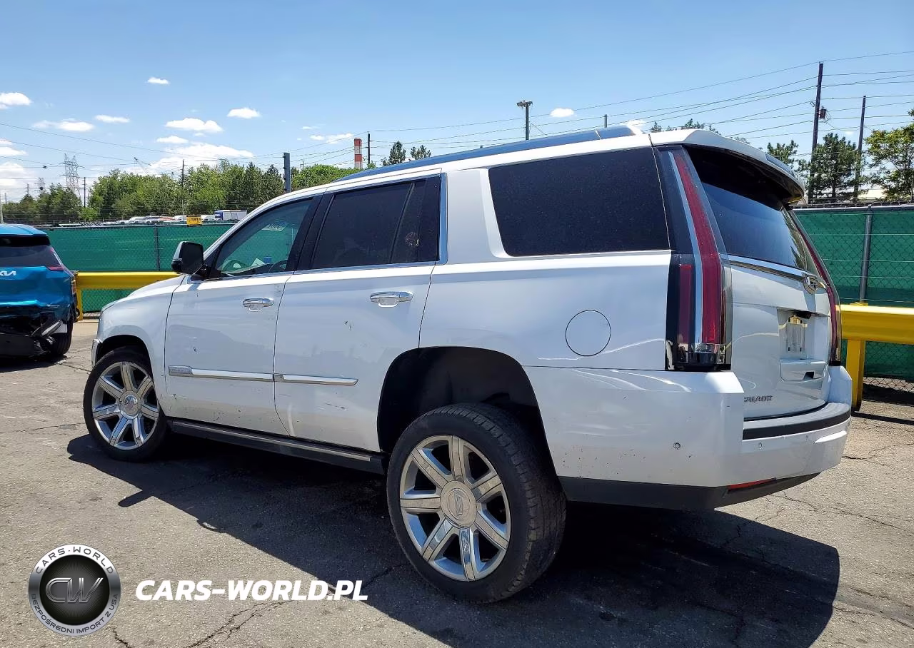2020 Cadillac Escalade Premium Luxury VIN:1GYS4CKJXLR142001 - 2