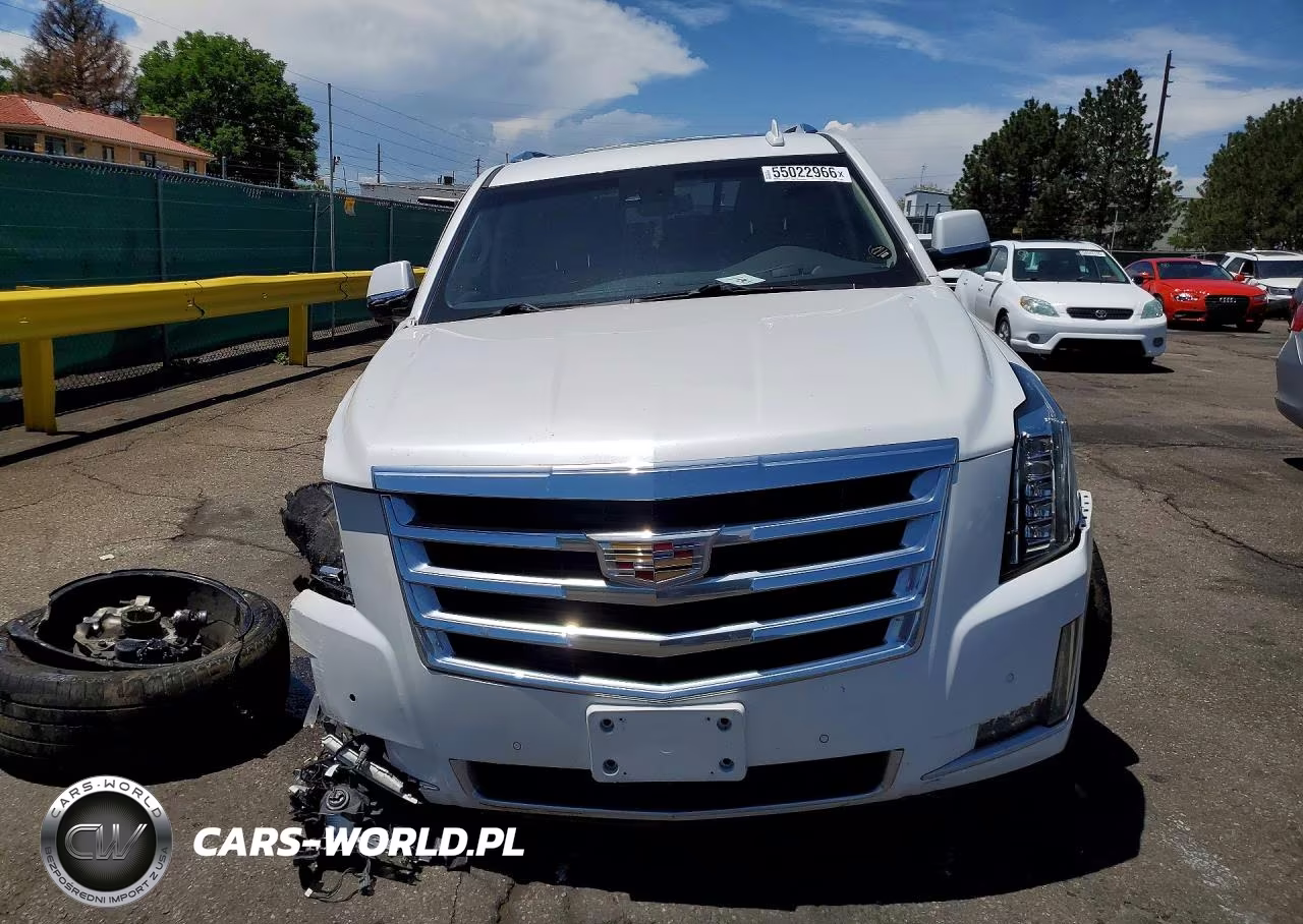 2020 Cadillac Escalade Premium Luxury VIN:1GYS4CKJXLR142001 - 5