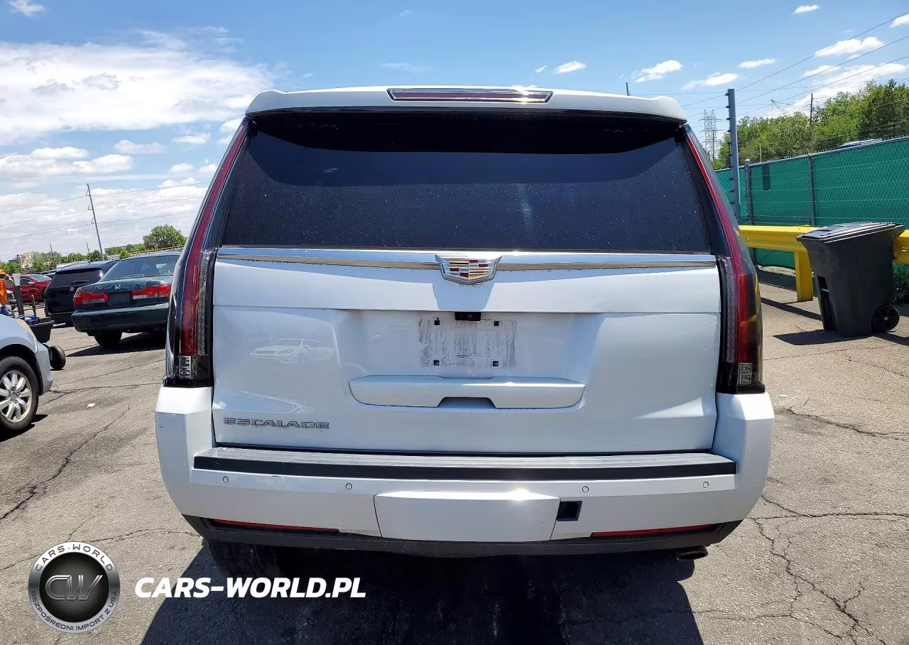 2020 Cadillac Escalade Premium Luxury VIN:1GYS4CKJXLR142001 - 6