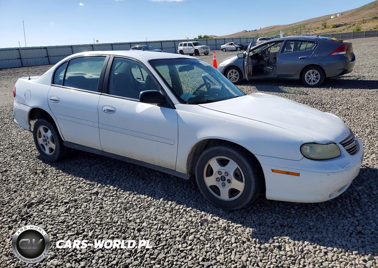 2002 Chevrolet Malibu VIN:1G1ND52J92M595271 - 4