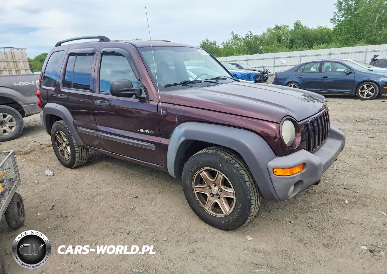 2004 Jeep Liberty Sport VIN:1J8GL48K14W286939 - 4