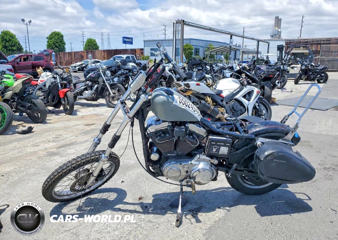 1999 Harley-Davidson Xl1200 C VIN:1HD1CGP36XK122721 - 3