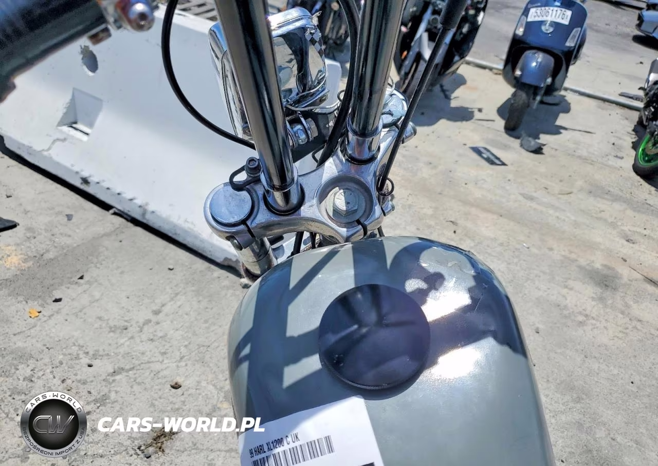 1999 Harley-Davidson Xl1200 C VIN:1HD1CGP36XK122721 - 7