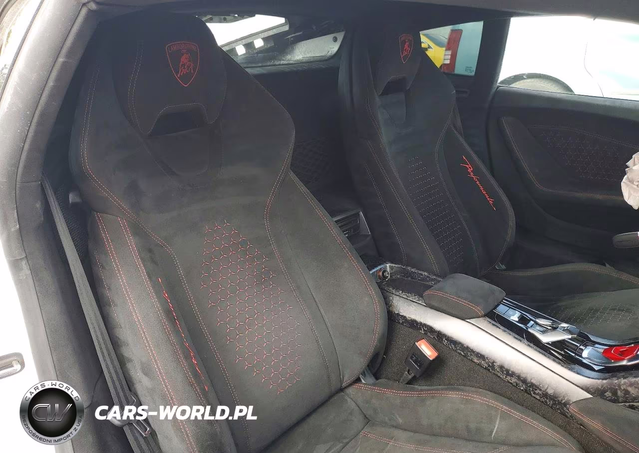 2018 Lamborghini Huracan Performante VIN:ZHWUD4ZF4JLA08259 - 10