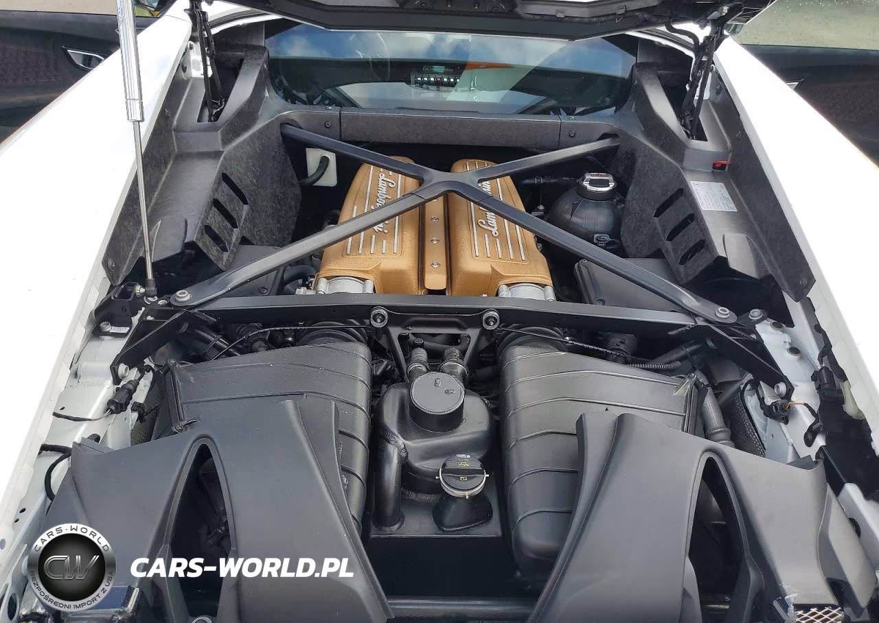 2018 Lamborghini Huracan Performante VIN:ZHWUD4ZF4JLA08259 - 11