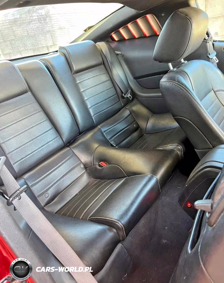2010 Ford Mustang Gt VIN:1ZVBP8CH9A5118120 - 6