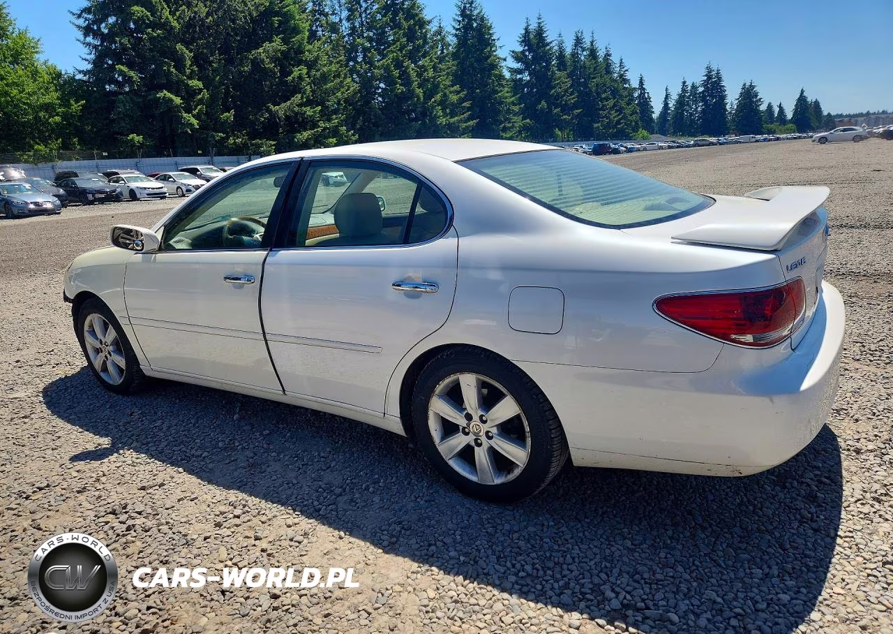 2005 Lexus Es 330 VIN:JTHBA30GX55070747 - 2