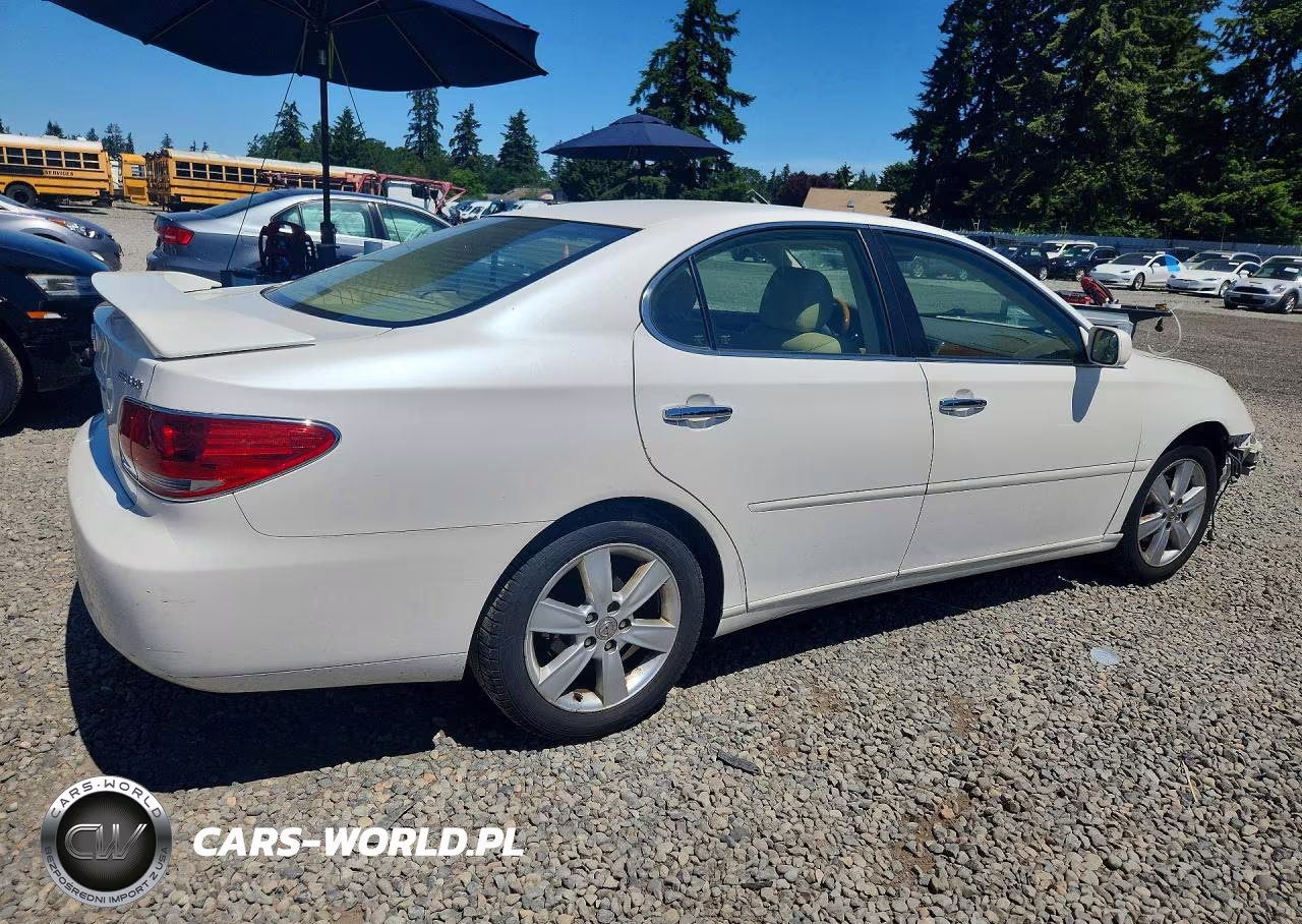 2005 Lexus Es 330 VIN:JTHBA30GX55070747 - 3