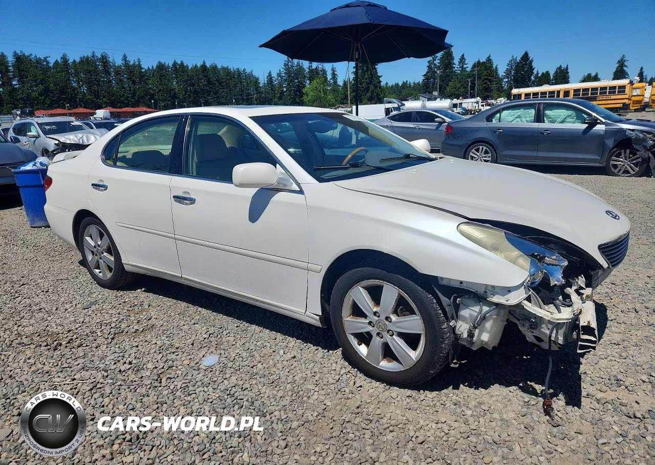 2005 Lexus Es 330 VIN:JTHBA30GX55070747 - 4