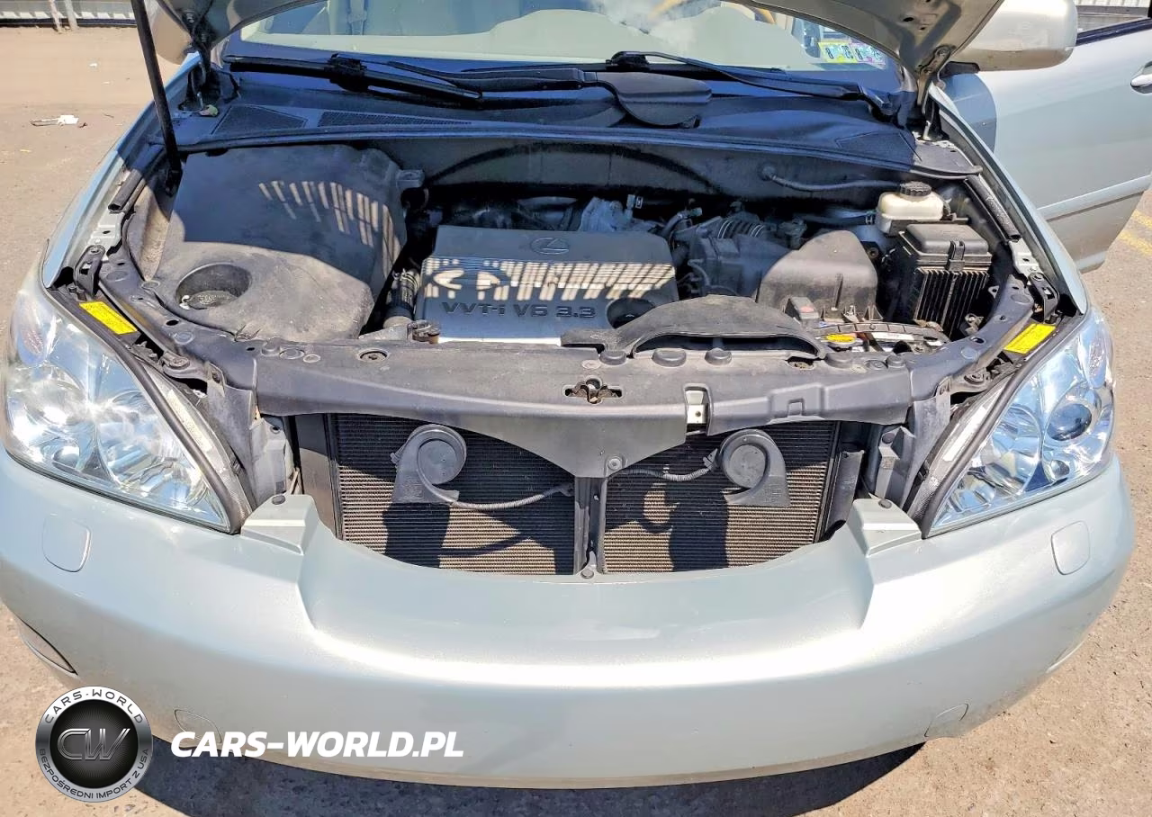 2004 Lexus Rx 330 VIN:2T2HA31U24C028036 - 12