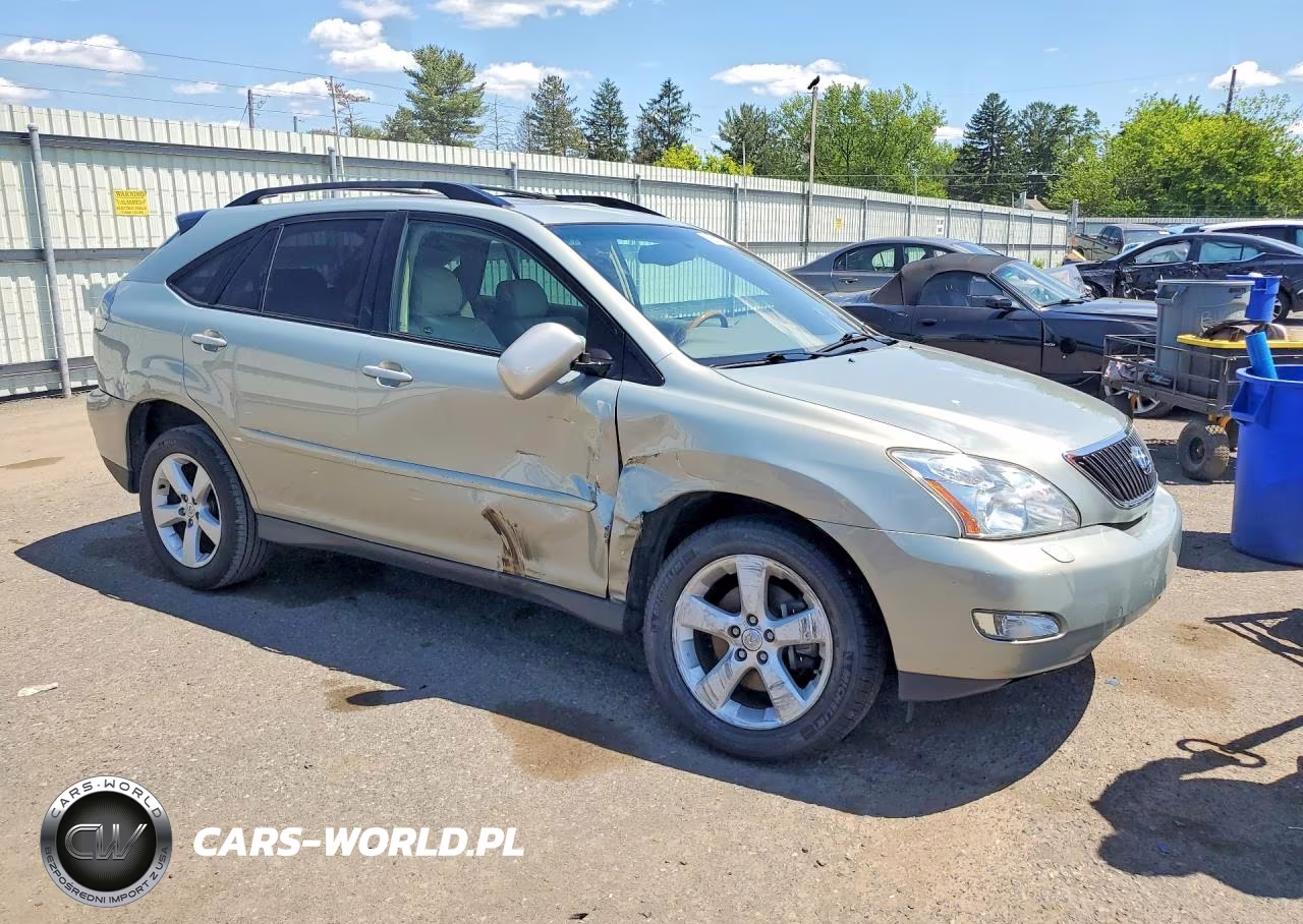 2004 Lexus Rx 330 VIN:2T2HA31U24C028036 - 4