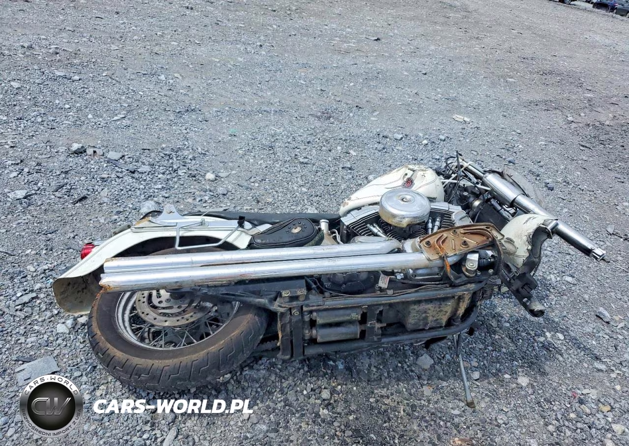 2000 Harley Davidson Flstf