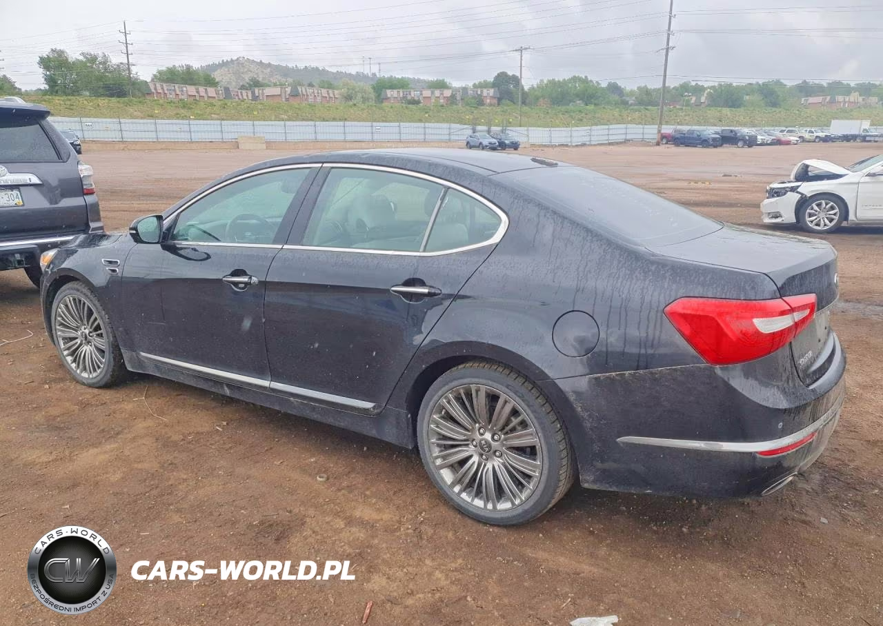 2015 Kia Cadenza Limited VIN:KNALN4D73F5183061 - 2