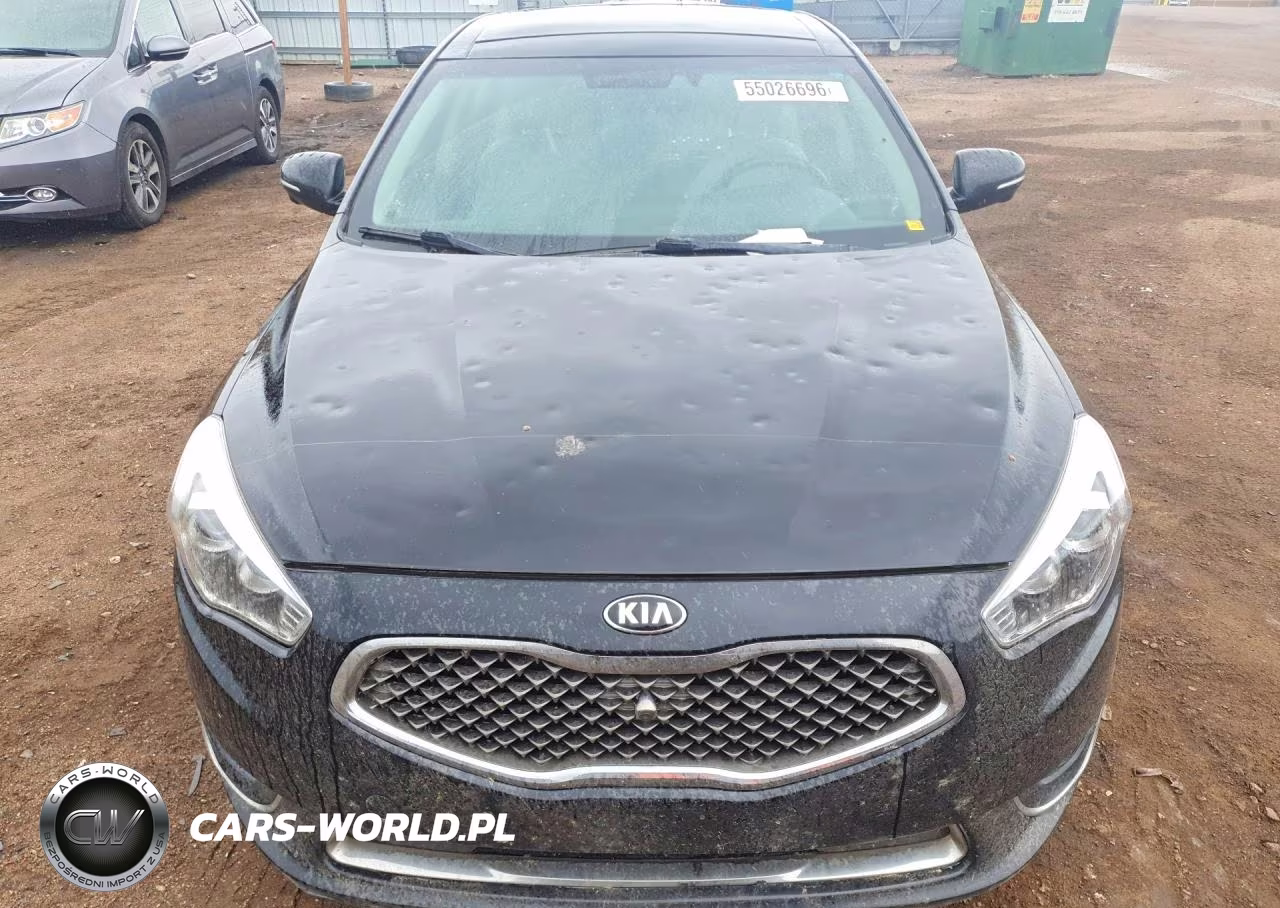 2015 Kia Cadenza Limited VIN:KNALN4D73F5183061 - 5