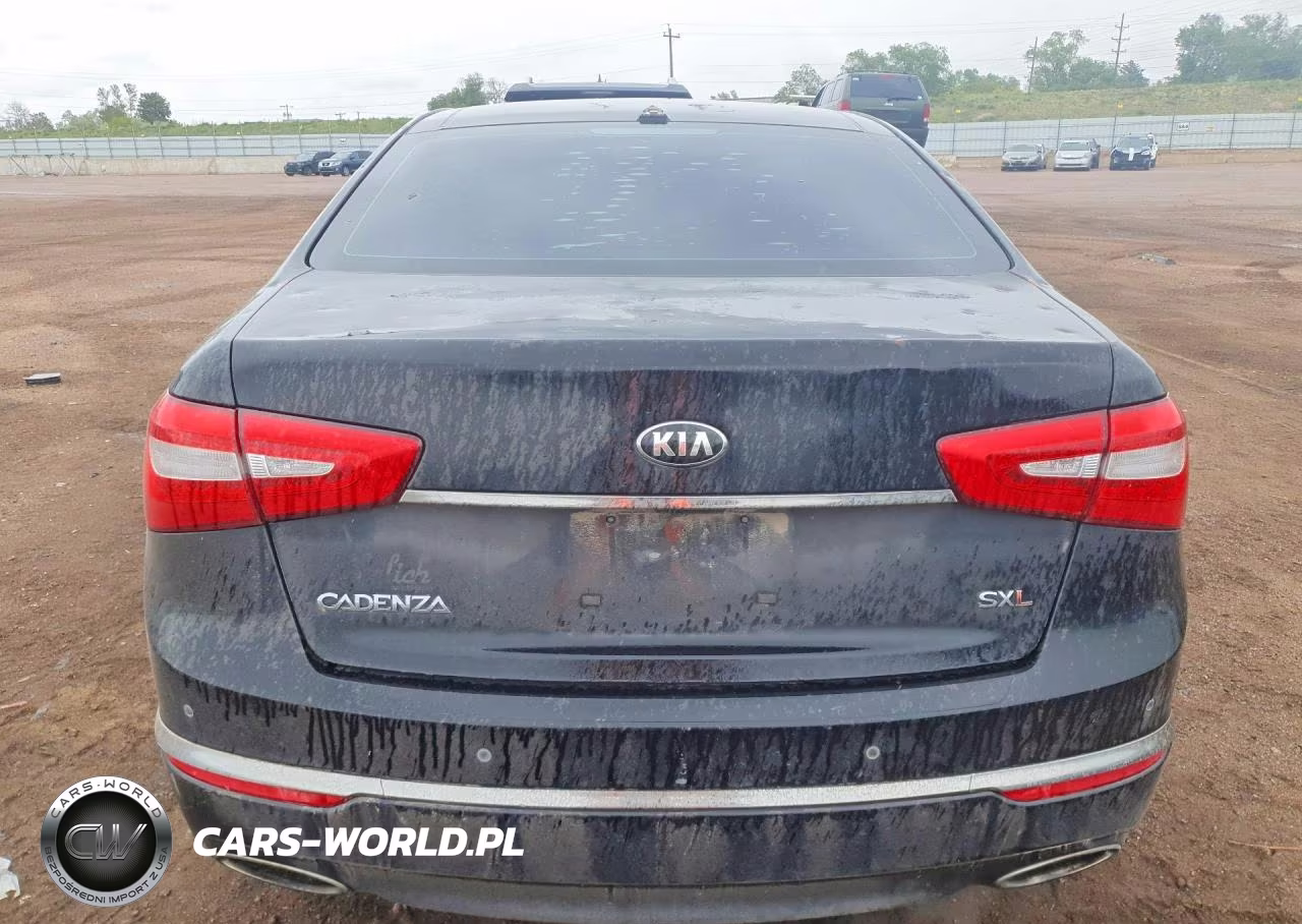 2015 Kia Cadenza Limited VIN:KNALN4D73F5183061 - 6