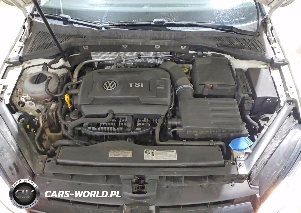 2017 Volkswagen Golf Sportwagen S VIN:3VWC17AU5HM503310 - 11
